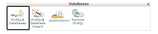 Check the Database
