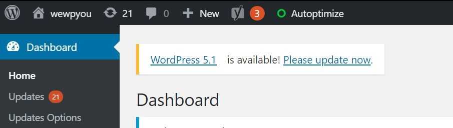 wordpress 5.1 update