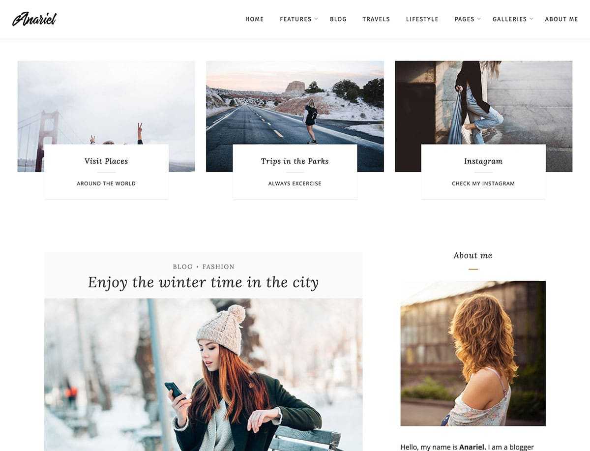 Anariel Lite Free Free WordPress Theme