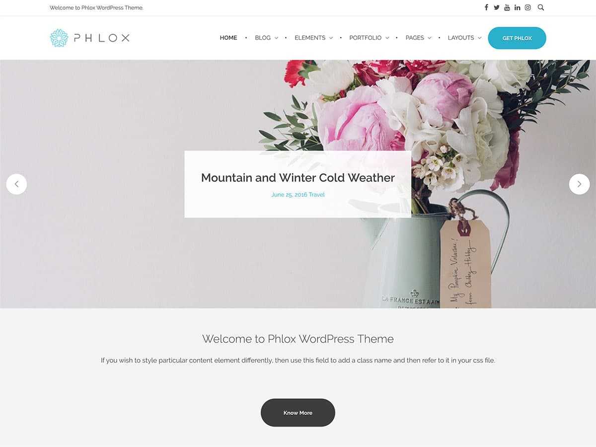 phlox Free WordPress Theme