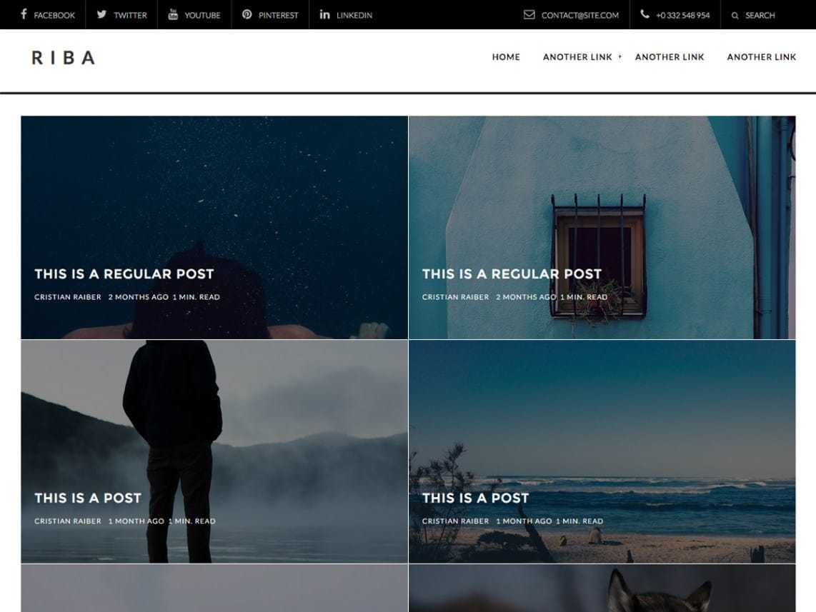 riba lite Free WordPress Theme