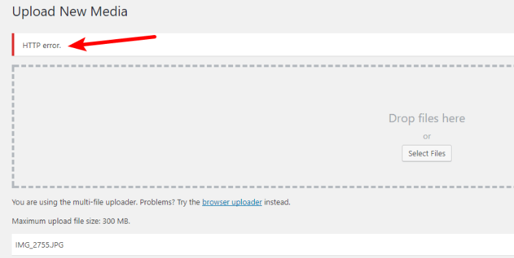 HTTP Error When Uploading Image To WordPress