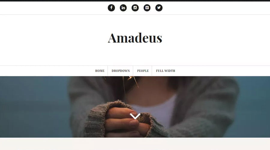 Amadeus wp theme