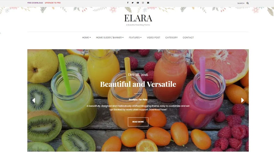 Elara wp theme