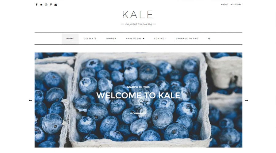 Kale wp theme