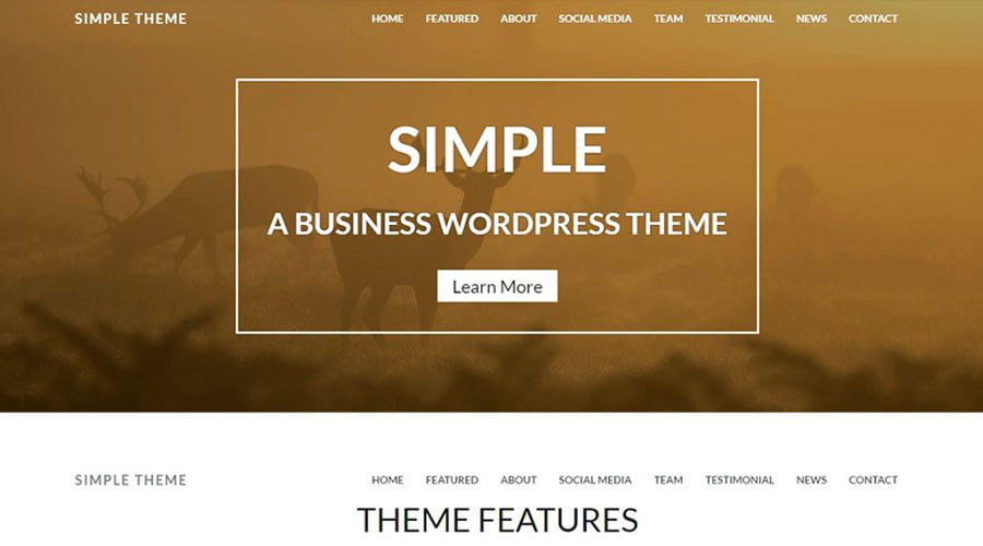 Simple wp theme