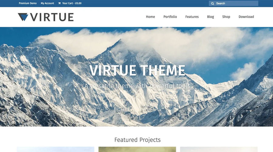 Virtue wp theme