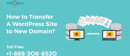 How to Transfer A WordPress Site to New Domain