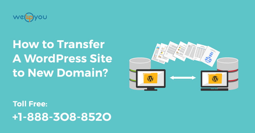 How to Transfer A WordPress Site to New Domain