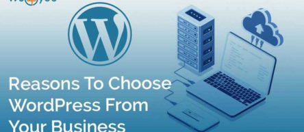 Reasons To Choose WordPress From Your Business