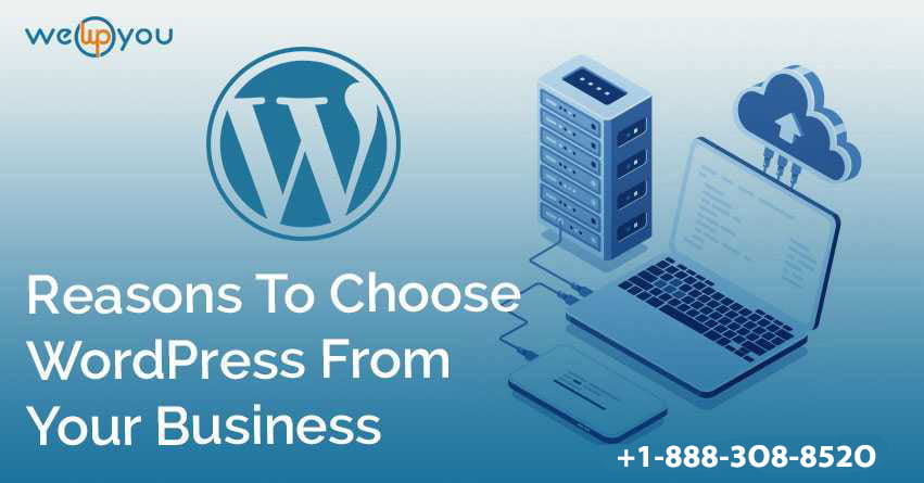 Reasons To Choose WordPress From Your Business