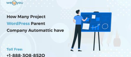 How Many Project WordPress Parent Company Automattic has