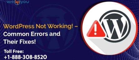WordPress Not Working