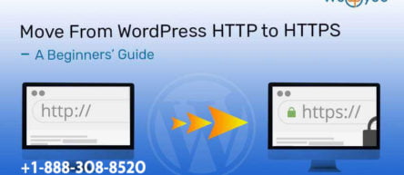 Move From WordPress HTTP to HTTPS