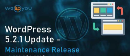 WordPress 5.2.1 Update