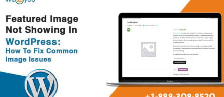 Featured Image Not Showing in WordPress