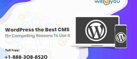 WordPress The Best CMS