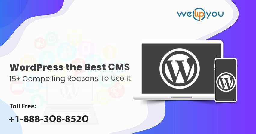 WordPress The Best CMS