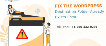 WordPress plugin destination folder already exists