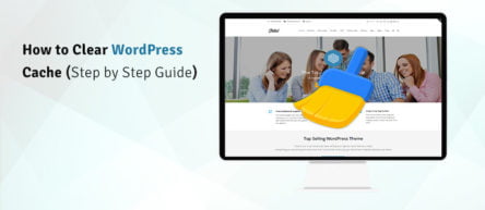 Clear WordPress Cache