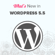 WordPress 5.5